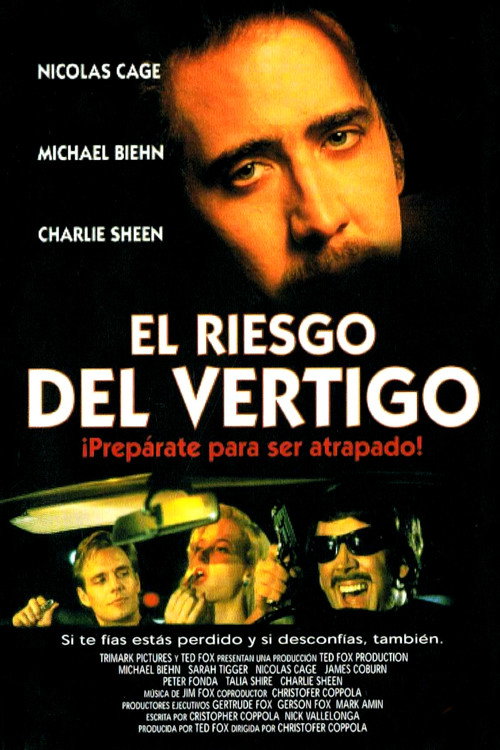 Póster de Deadfall