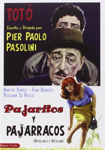 Póster de Uccellacci e uccellini