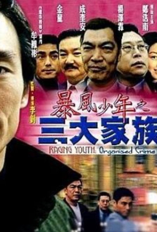 Póster de 暴風少年之三大家族