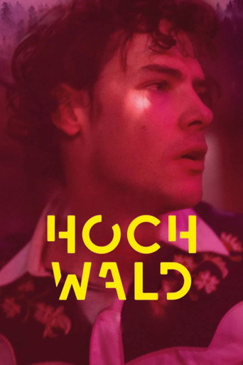 Póster de Hochwald