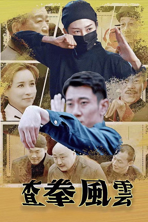 Póster de 查拳风云