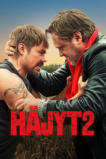 Póster de Häjyt 2
