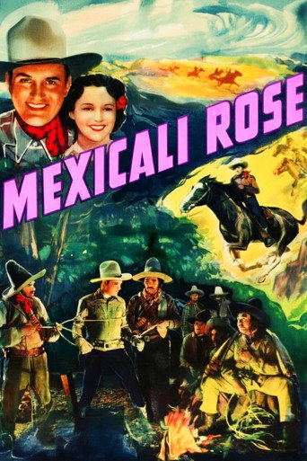 Póster de Mexicali Rose