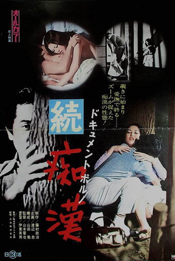 Póster de ドキュメントポルノ　続・痴漢