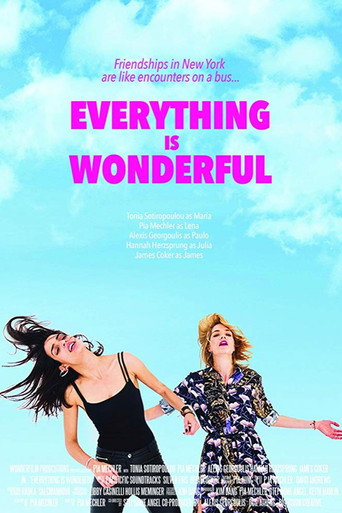 Póster de Everything is Wonderful