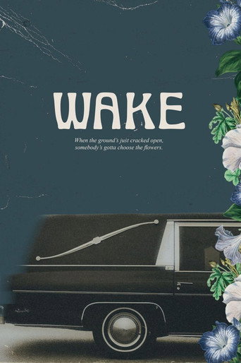 Póster de Wake