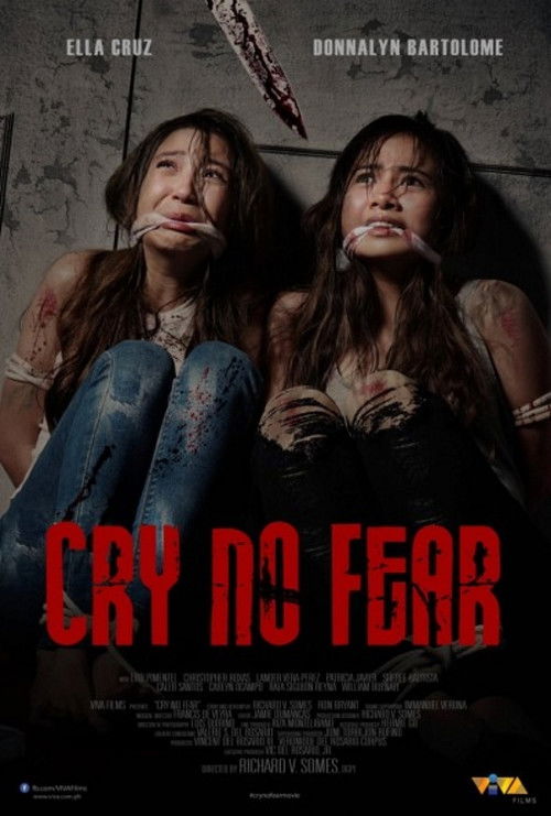 Póster de Cry No Fear