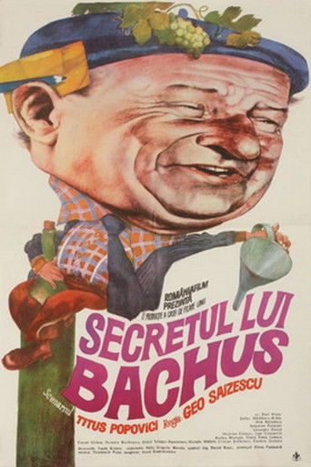 Póster de Secretul lui Bachus