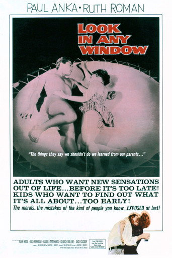 Póster de Look in Any Window