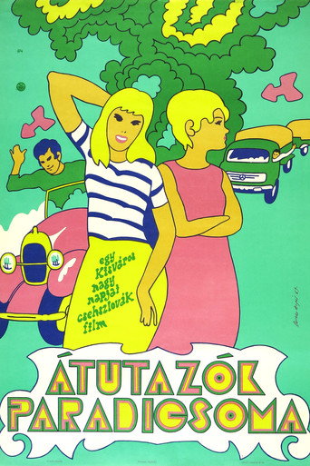 Póster de Objížďka