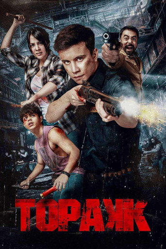 Póster de Topakk