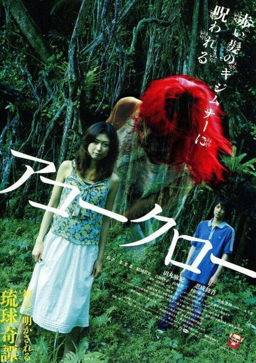 Póster de アコークロー