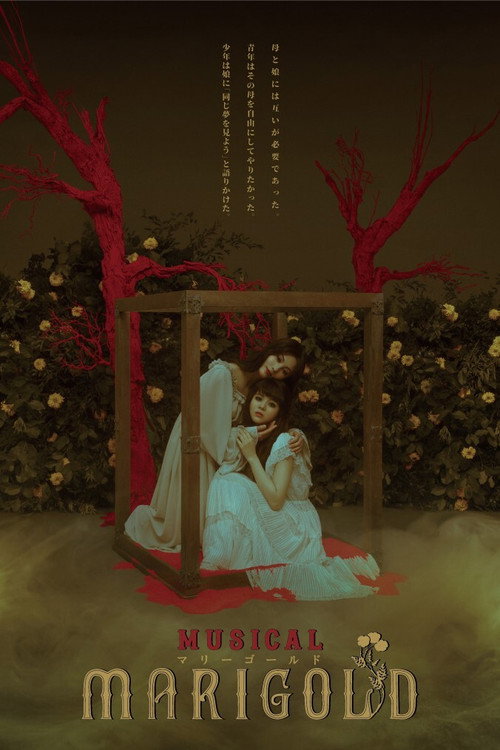 Póster de ミュージカル『マリーゴールド』
