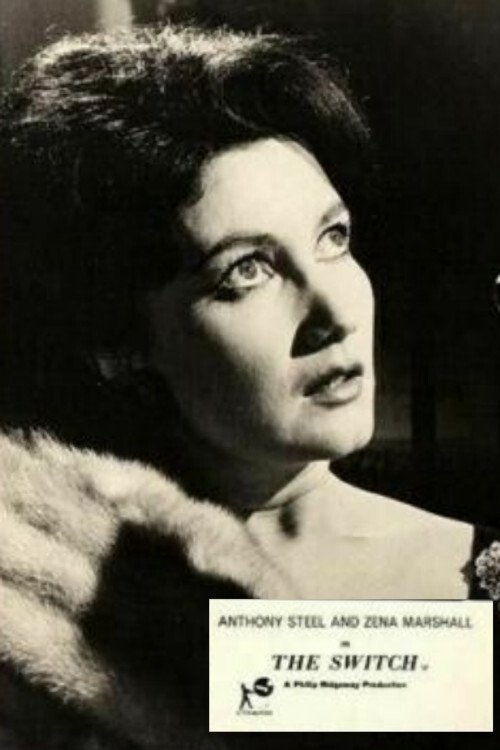 Póster de The Switch