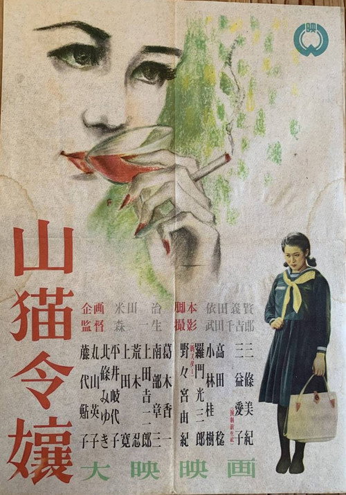 Póster de 山猫令嬢
