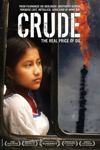Póster de Crude