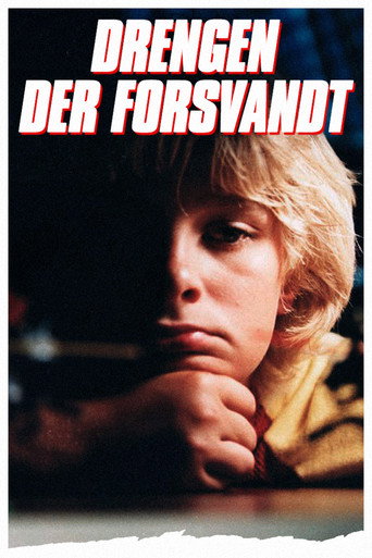 Póster de Drengen der forsvandt
