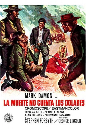 Póster de La morte non conta i dollari