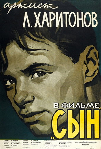 Póster de Сын