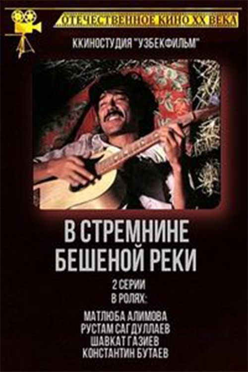 Póster de В стремнине бешеной реки