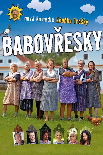 Póster de Babovřesky