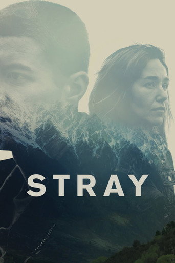 Póster de Stray