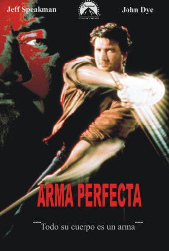 Póster de El arma perfecta