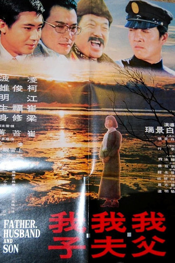 Póster de 我父我夫我子