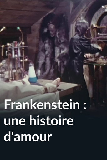 Póster de Frankenstein : Une histoire d'amour