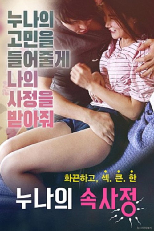 Póster de 누나의 속사정