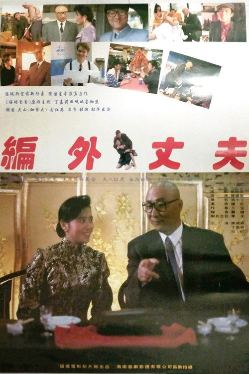 Póster de 编外丈夫