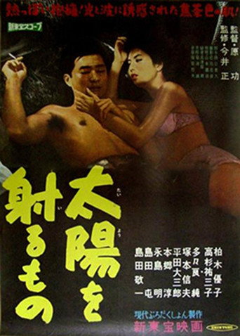 Póster de 太陽を射るもの