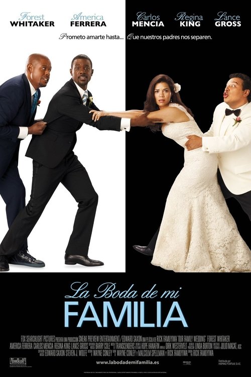 Póster de Our Family Wedding