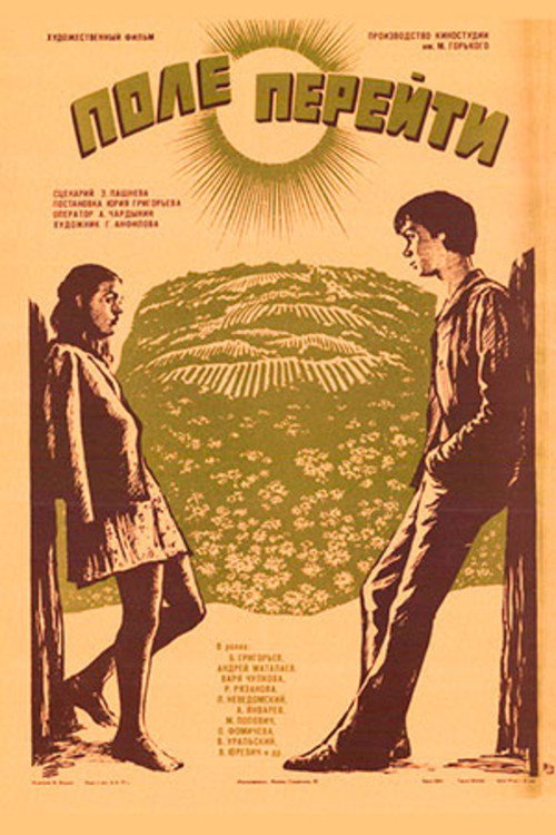 Póster de Поле перейти