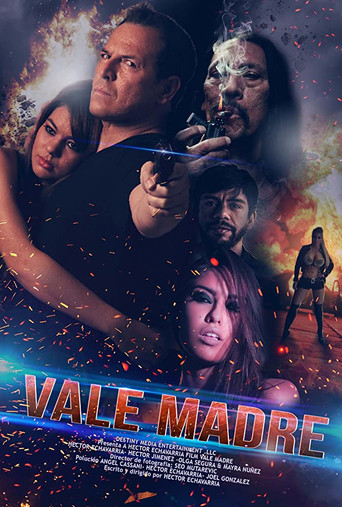 Póster de Vale madre