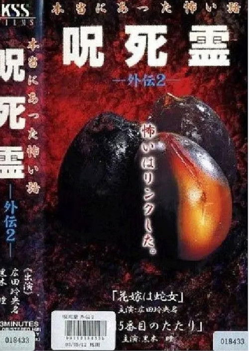 Póster de 咒.死.灵外传2 本当にあった怖い話 呪死霊 外伝2