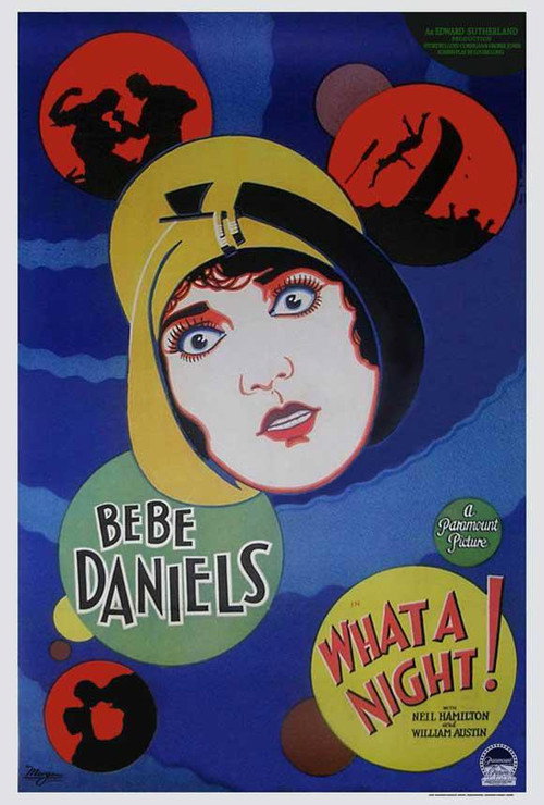 Póster de What a Night!