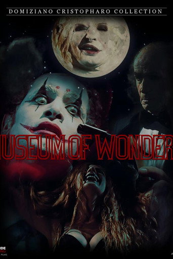 Póster de The Museum Of Wonders