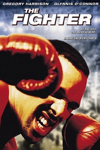 Póster de The Fighter