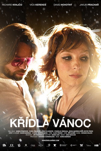 Póster de Křídla Vánoc