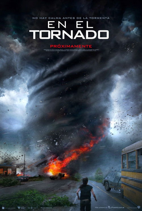 Póster de En el tornado