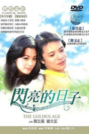 Póster de 闪亮的日子
