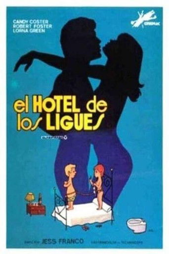 Póster de El hotel de los ligues