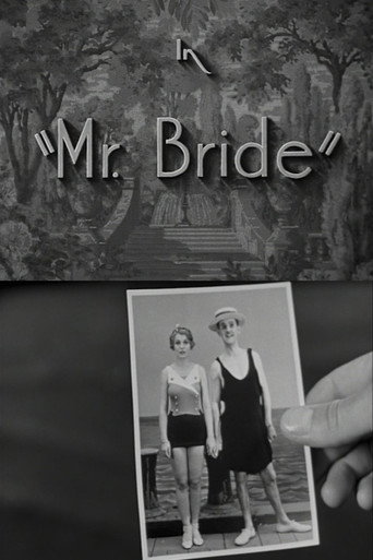 Póster de Mr. Bride