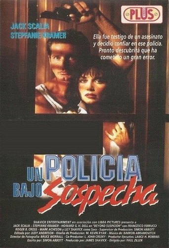 Póster de Beyond Suspicion