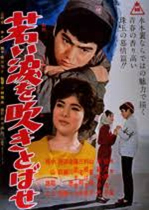 Póster de 若い涙を吹きとばせ