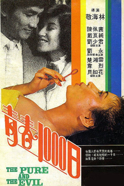Póster de 青春1000日