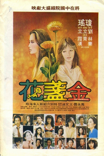Póster de 金盞花