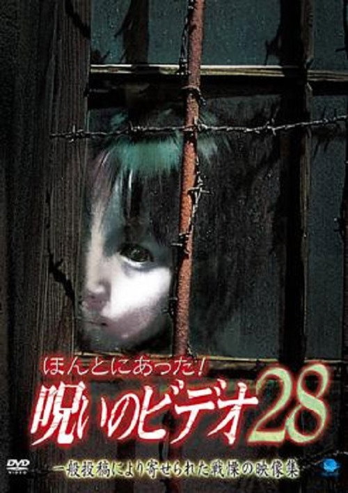 Póster de ほんとにあった！呪いのビデオ28