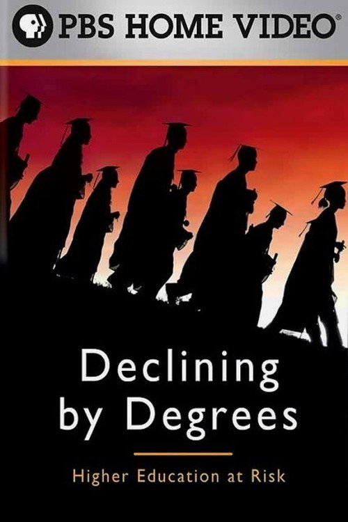 Póster de Declining by Degrees: Higher Education at Risk